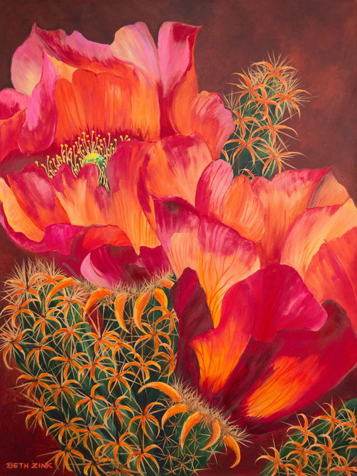 beth zink stunning staghorns